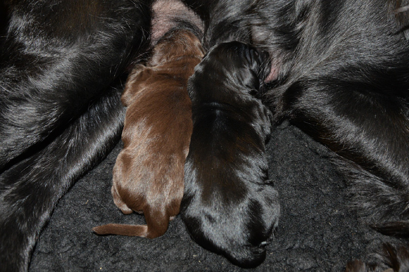 [Image: 251227%201.jpg]