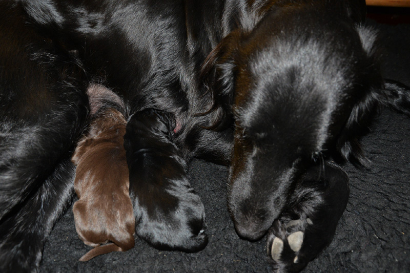 [Image: 251227%202.jpg]