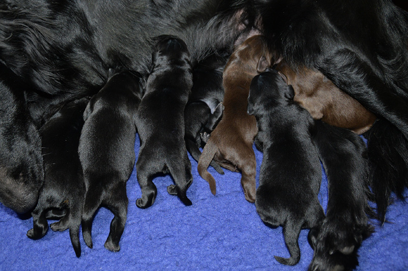 [Image: 260112%201.jpg]