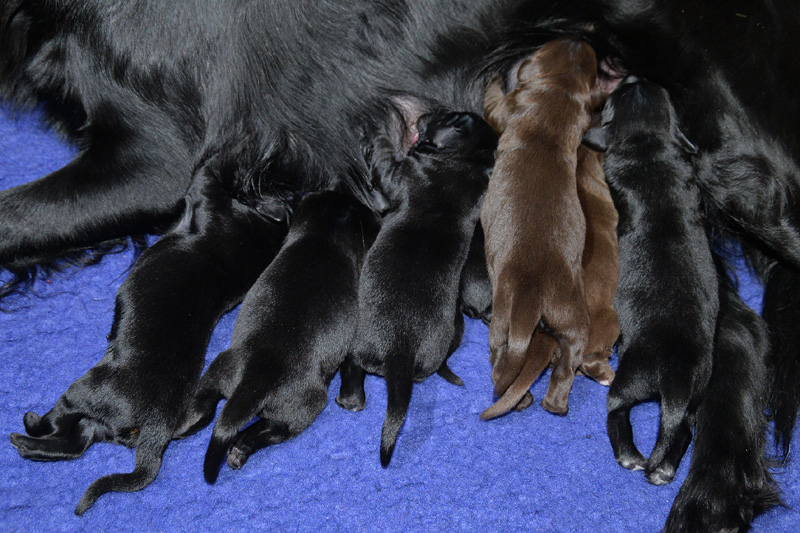 [Image: 260112%202.jpg]