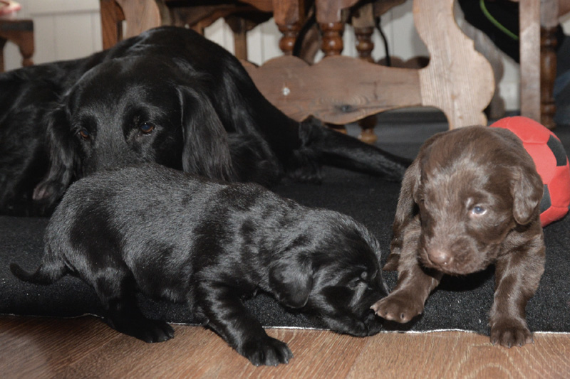 [Image: 260117%200.jpg]