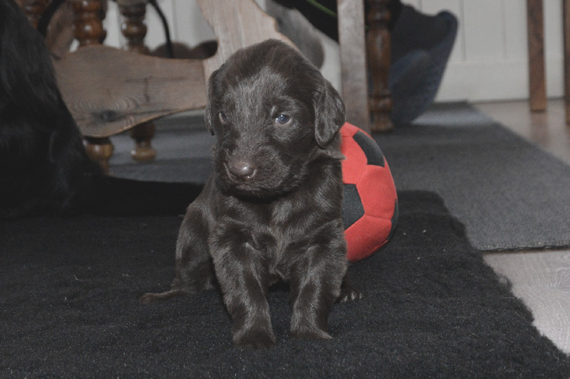 [Image: 260117%201.jpg]