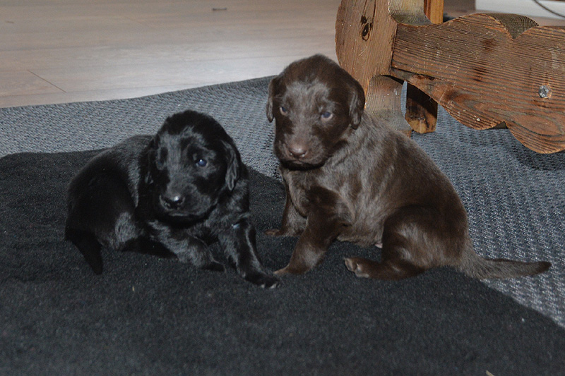 [Image: 260117%202.jpg]