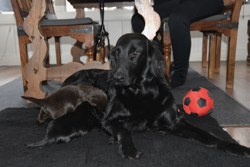 [Image: 260117%203.jpg]