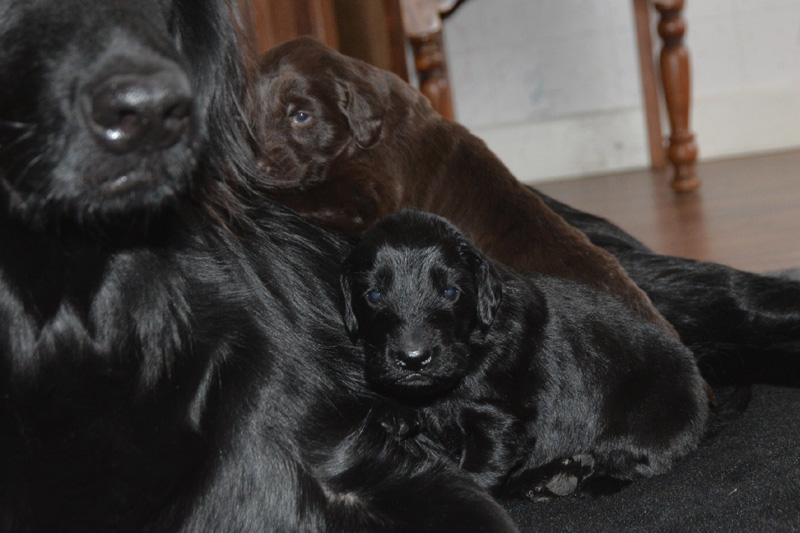 [Image: 260117%204.jpg]