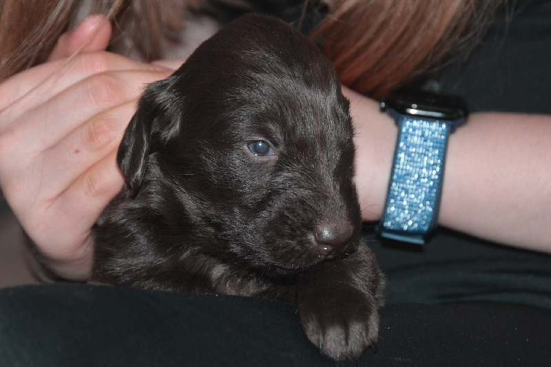 [Image: 260117%205.jpg]