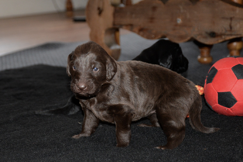 [Image: 260117%206.jpg]