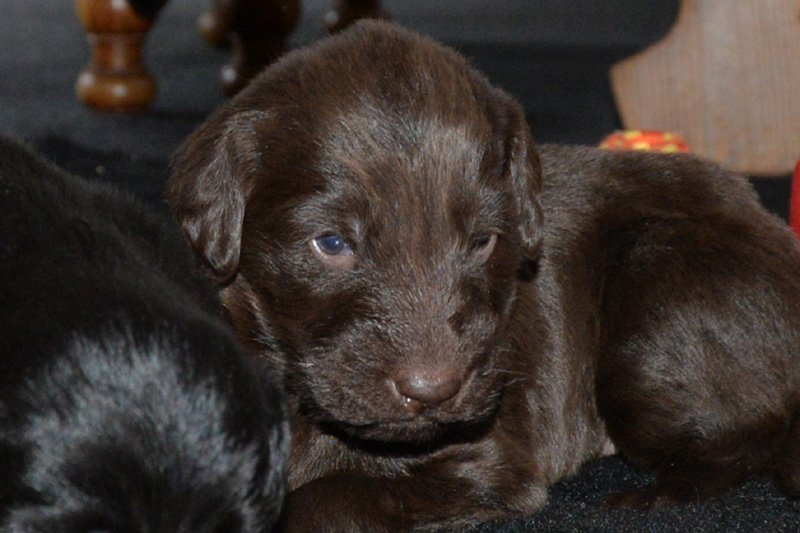 [Image: 260117%207.jpg]