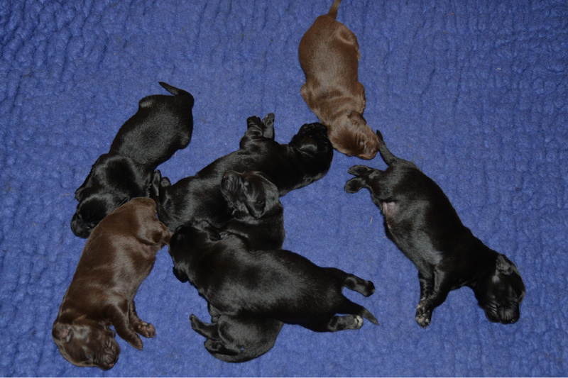 [Image: 260118%200.jpg]