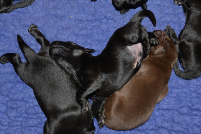 [Image: 260118%201.jpg]