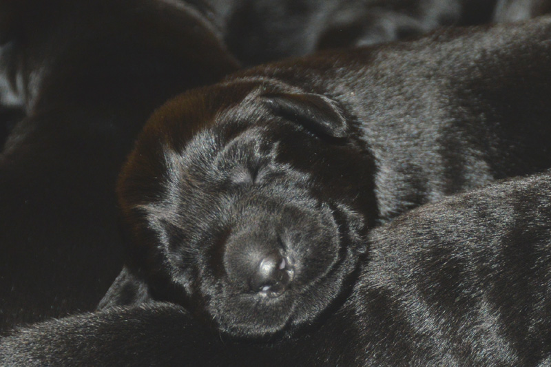 [Image: 260118%202.jpg]