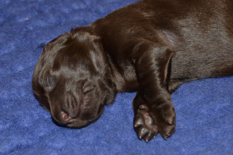 [Image: 260118%203.jpg]