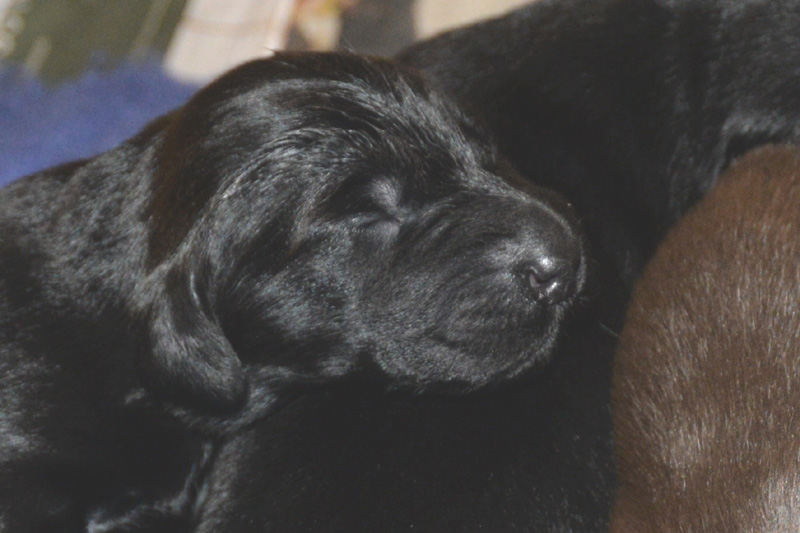 [Image: 260118%204.jpg]