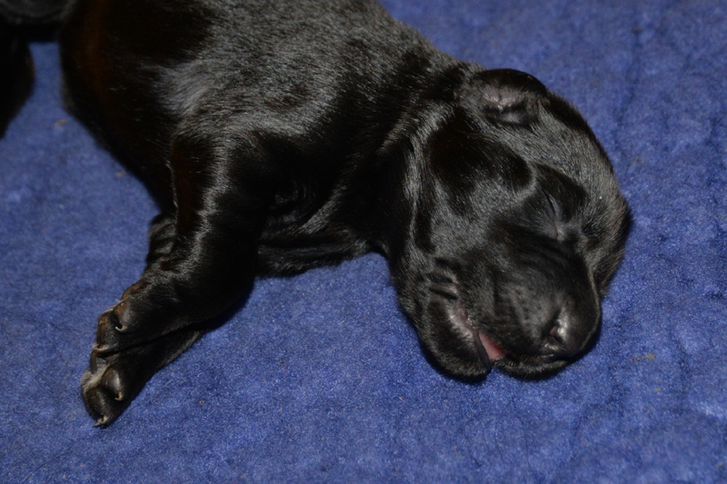 [Image: 260118%205.jpg]