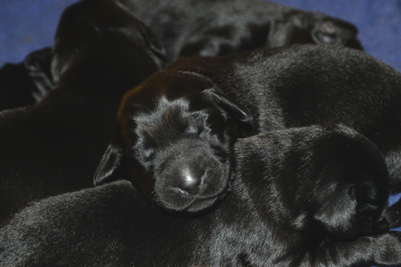 [Image: 260118%206.jpg]