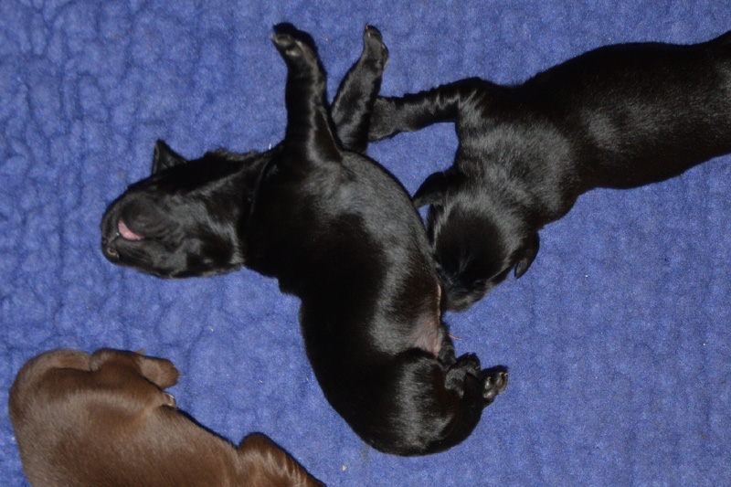 [Image: 260118%207.jpg]