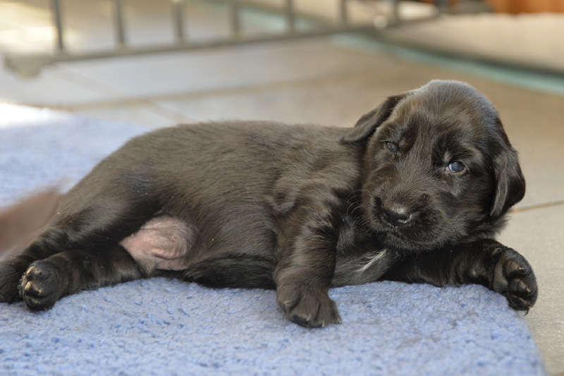 [Image: 260131%201.jpg]