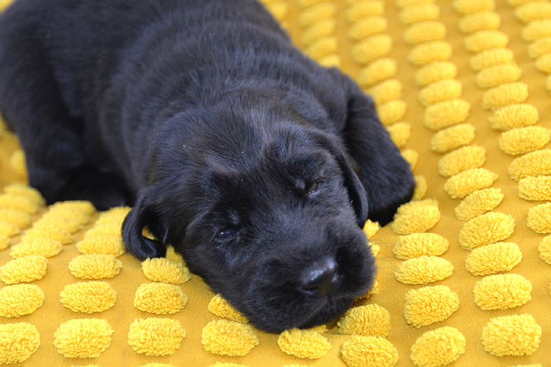 [Image: 260131%2010.jpg]