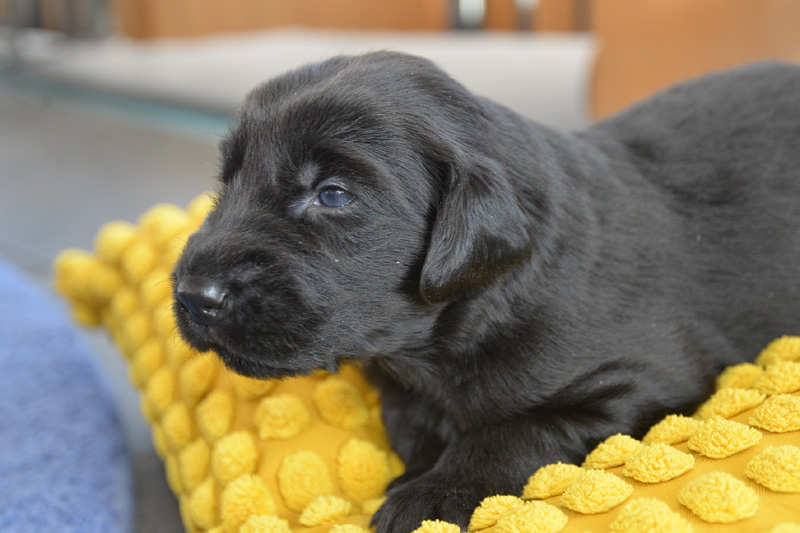 [Image: 260131%2011.jpg]