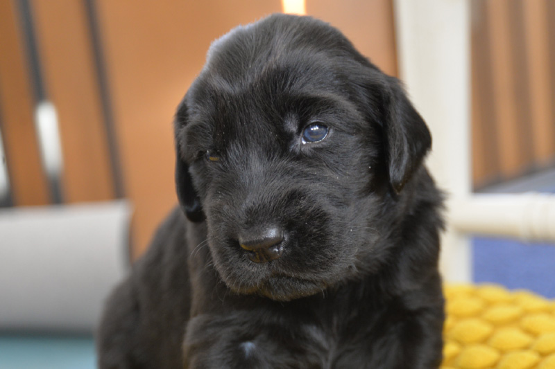 [Image: 260131%202.jpg]