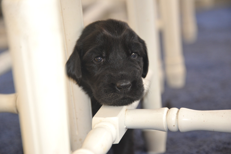 [Image: 260131%203.jpg]