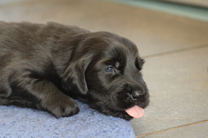 [Image: 260131%204.jpg]