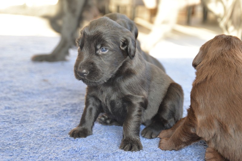 [Image: 260131%205.jpg]