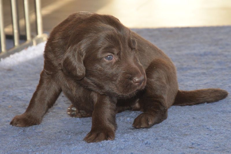 [Image: 260131%206.jpg]