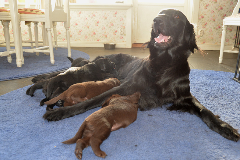 [Image: 260131%207.jpg]