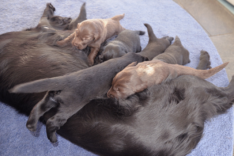 [Image: 260131%208.jpg]