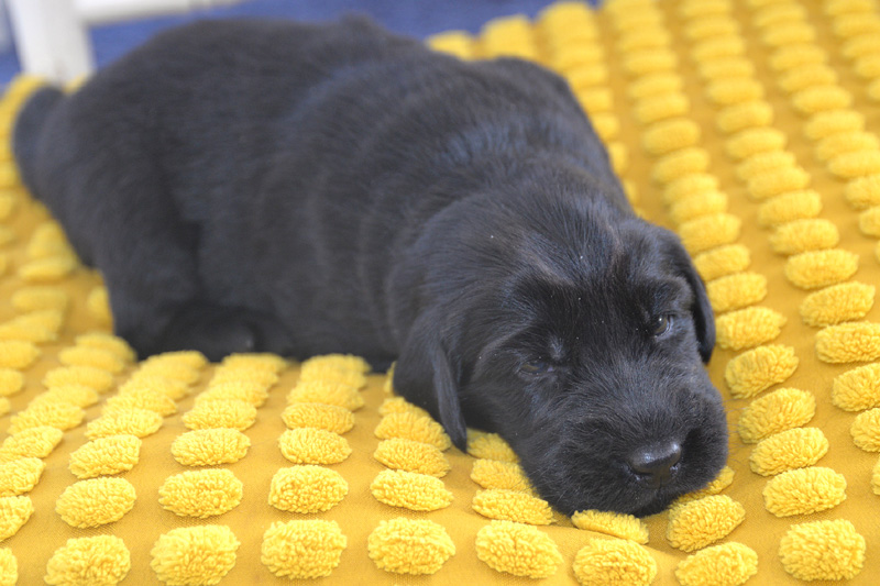 [Image: 260131%209.jpg]