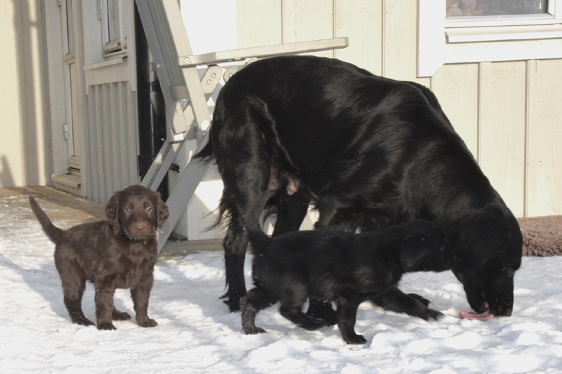 [Image: 260201%2010.jpg]