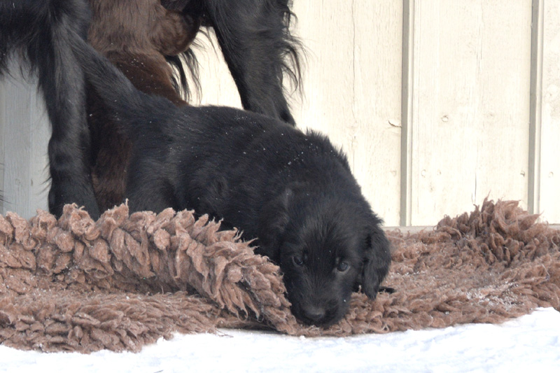 [Image: 260201%2012.jpg]