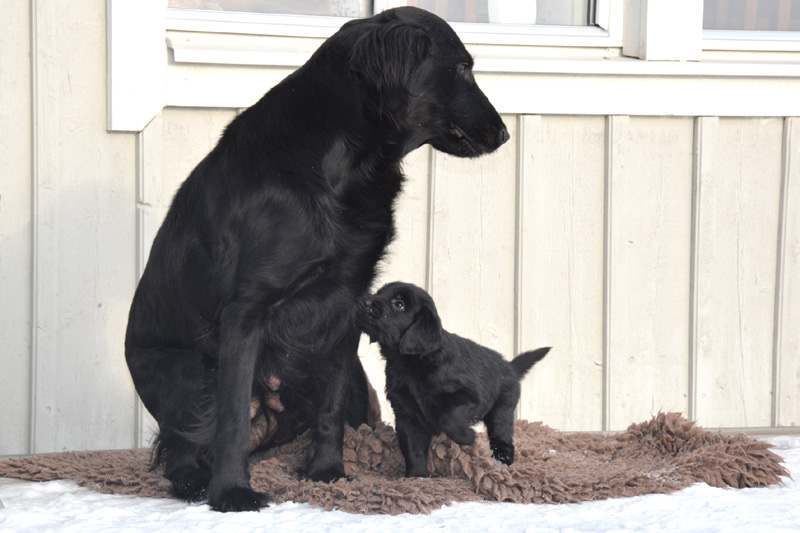 [Image: 260201%2013.jpg]