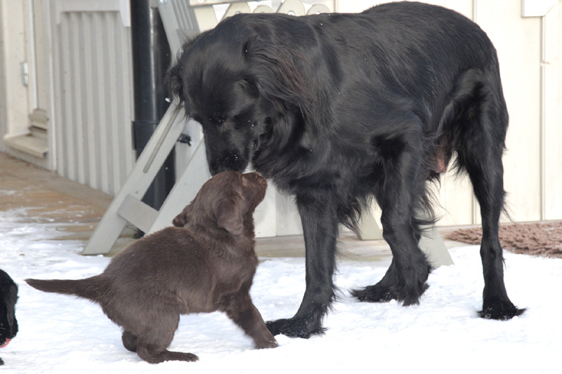 [Image: 260201%2014.jpg]