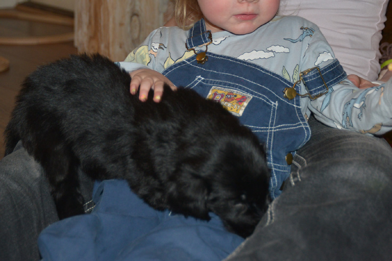 [Image: 260201%2015.jpg]