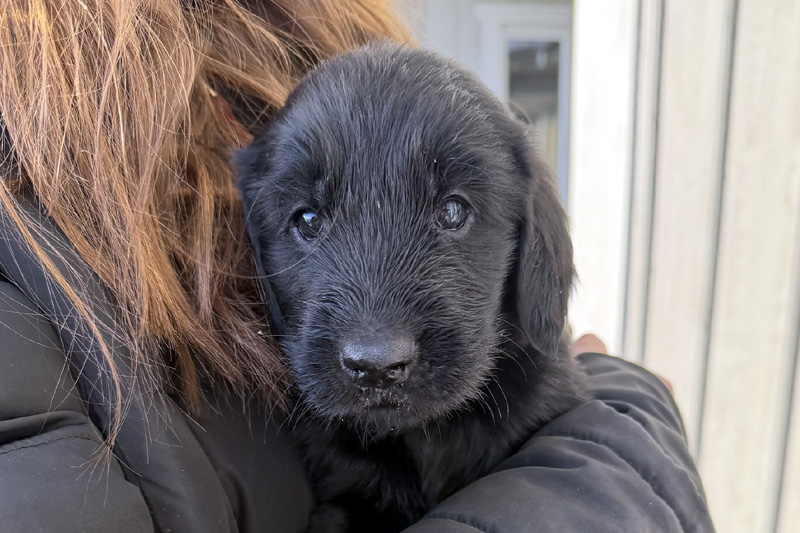 [Image: 260201%202.jpg]