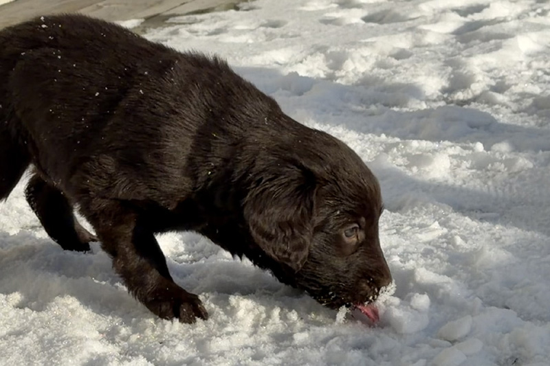 [Image: 260201%203.jpg]