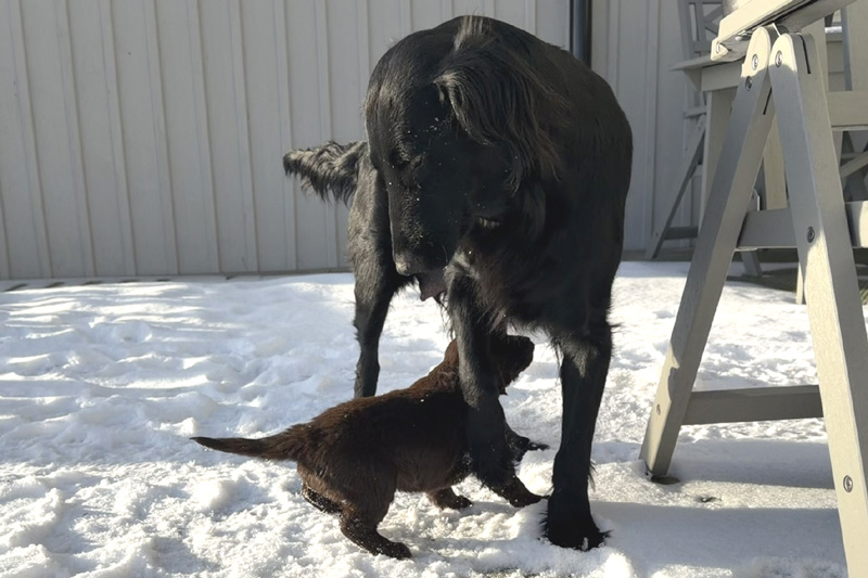 [Image: 260201%204.jpg]