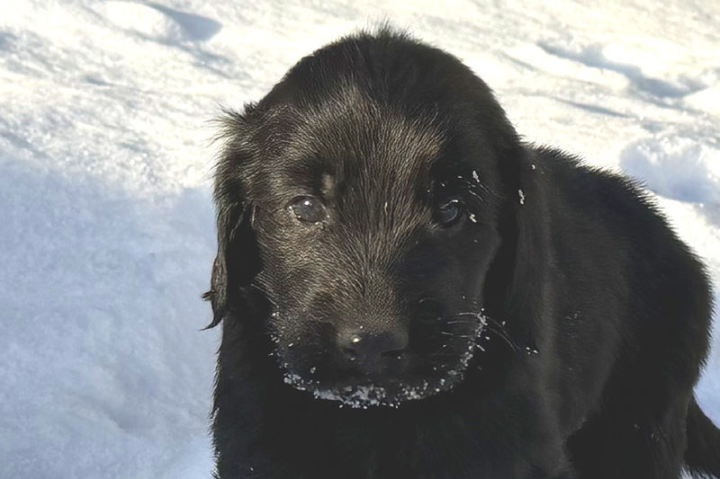 [Image: 260201%205.jpg]