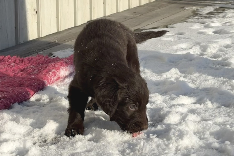 [Image: 260201%206.jpg]