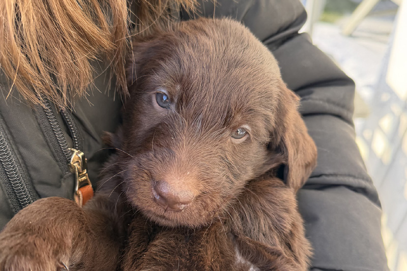 [Image: 260201%207.jpg]