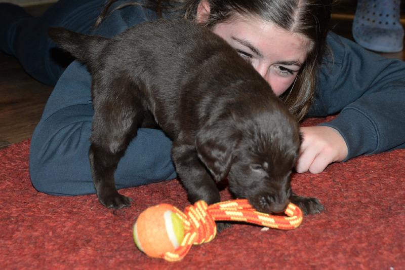 [Image: 260201%208.jpg]