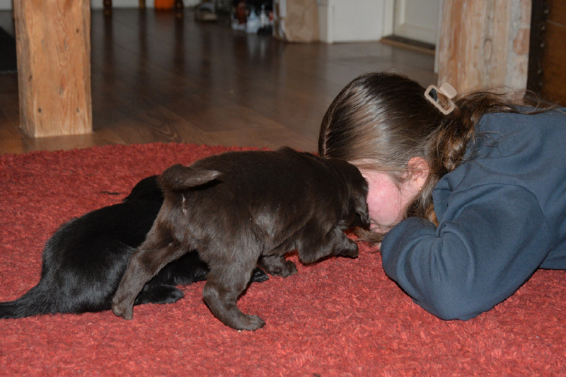 [Image: 260201%209.jpg]