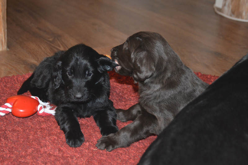 [Image: 260206%201.jpg]