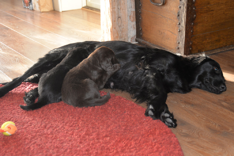 [Image: 260206%202.jpg]