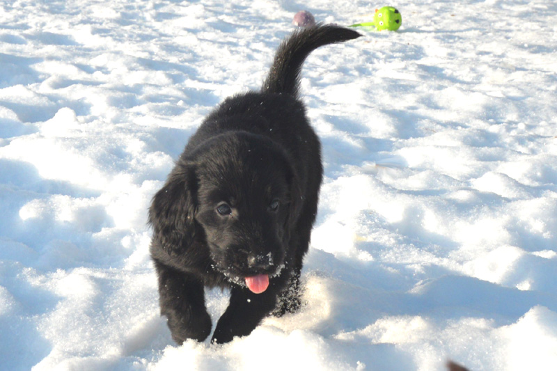 [Image: 260206%203.jpg]