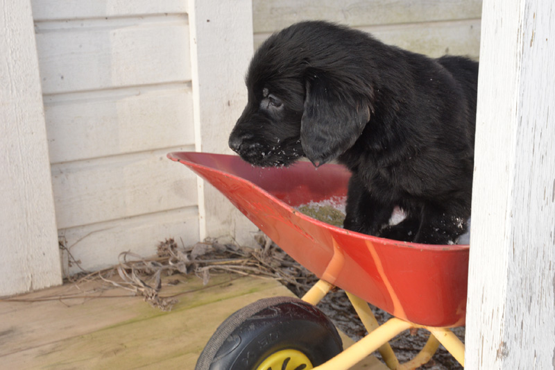 [Image: 260206%204.jpg]