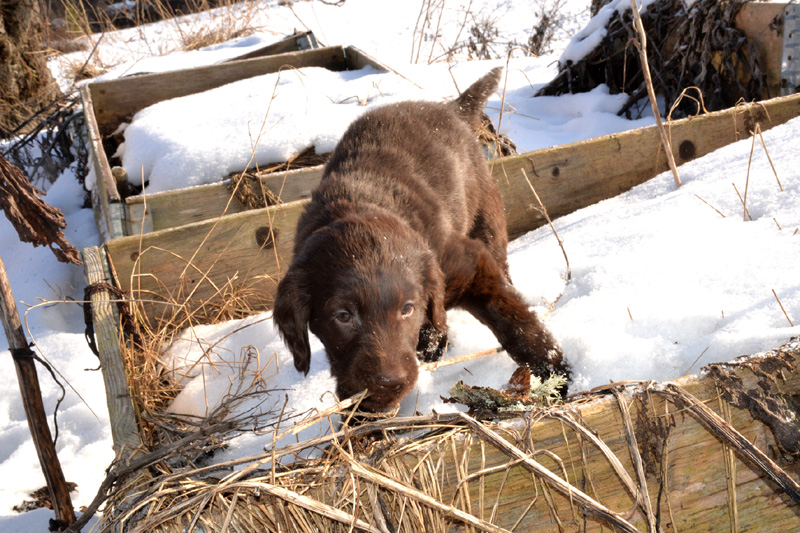 [Image: 260206%205.jpg]