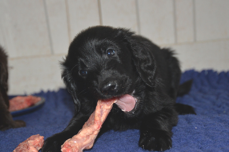 [Image: 260208%201.jpg]